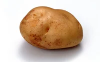 Potato