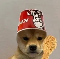 doge