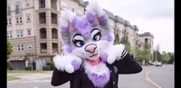 Furry