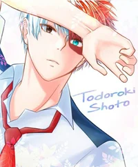 Shoto todoroki 