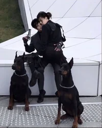 Harry styles n Louis