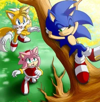 Sonic tails amy