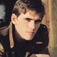 Dally -The Outsiders