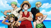 Straw Hat Pirates 