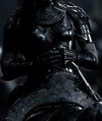 A knight 2