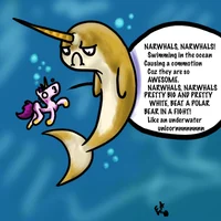 Narwhal SONG VER