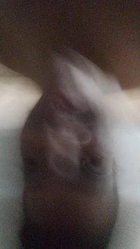 Ritual