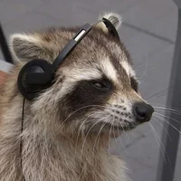 1 requests-questions