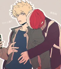 Todoroki and bakugo 