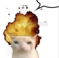 Exploding Cat