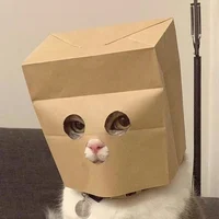 Thief cat