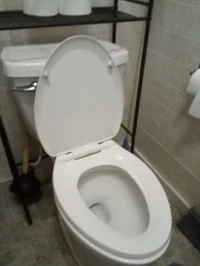 Skibibi toilet