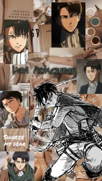 Levi Ackerman 