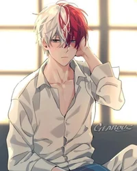 Todoroki 