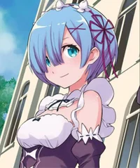 ZERO_Rem