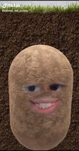 Potato