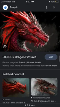 A Dragon