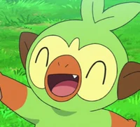 Choppy the grookey