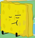 Spongy
