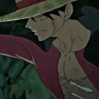 Monkey D Luffy