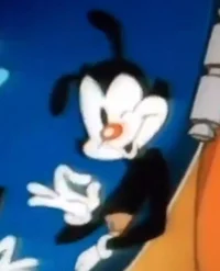 Yakko Warner