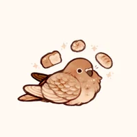Chat birb