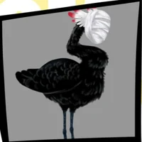 Baby Judgement Bird