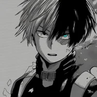 Shoto Todoroki