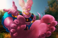 Beerus Feet