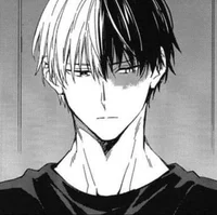 Shoto Todoroki 