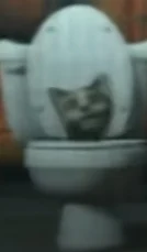 Cat skibidi toilet