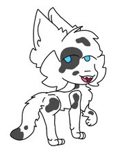 Sothie marble fox
