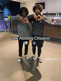 Law Abiding Citizens