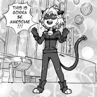 Cat noir skarlet