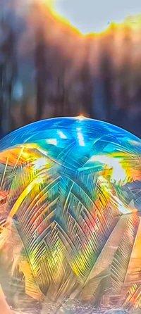 Brian Chris Official