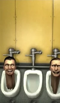 Double skibidi toile