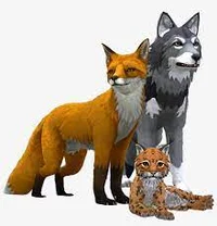 Animals