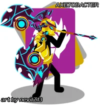 AXETOBACTER