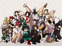 Class 1-A MHA