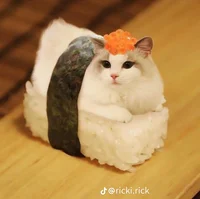 Gato Sushi