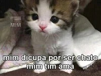 Gatinho pidao