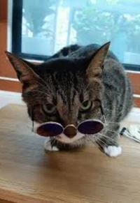 thyluv_bigmamapickle