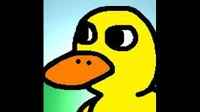 The Duck - Duck Song