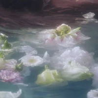 Fairy-nishimura riki