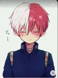 Shoto Todoroki 