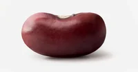 Bean