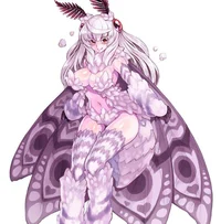 INSECT_Chica Polilla