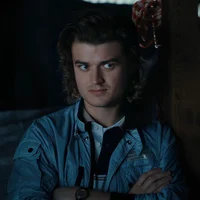Steve Harrington 