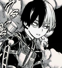 Todoroki shoto