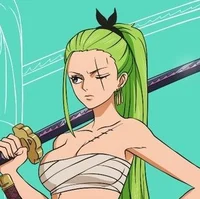 Fem Zoro